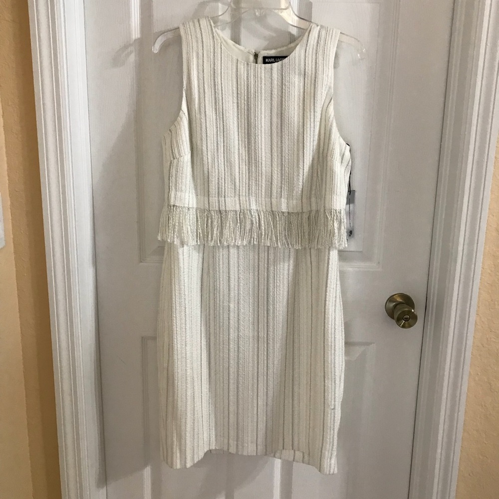 NWT fringe dress